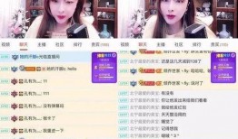 韩涵的粉丝爆料视频,幕后故事与精彩瞬间