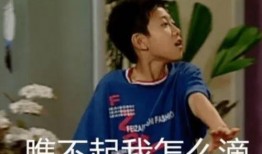 娱乐吃瓜酱 打工,揭秘打工族的酸甜苦辣生活