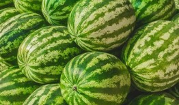 快手网红的瓜在哪吃,揭秘快手网红“瓜在哪吃”背后的美食之旅