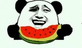 111娱乐吃瓜,揭秘娱乐圈的“吃瓜”盛宴